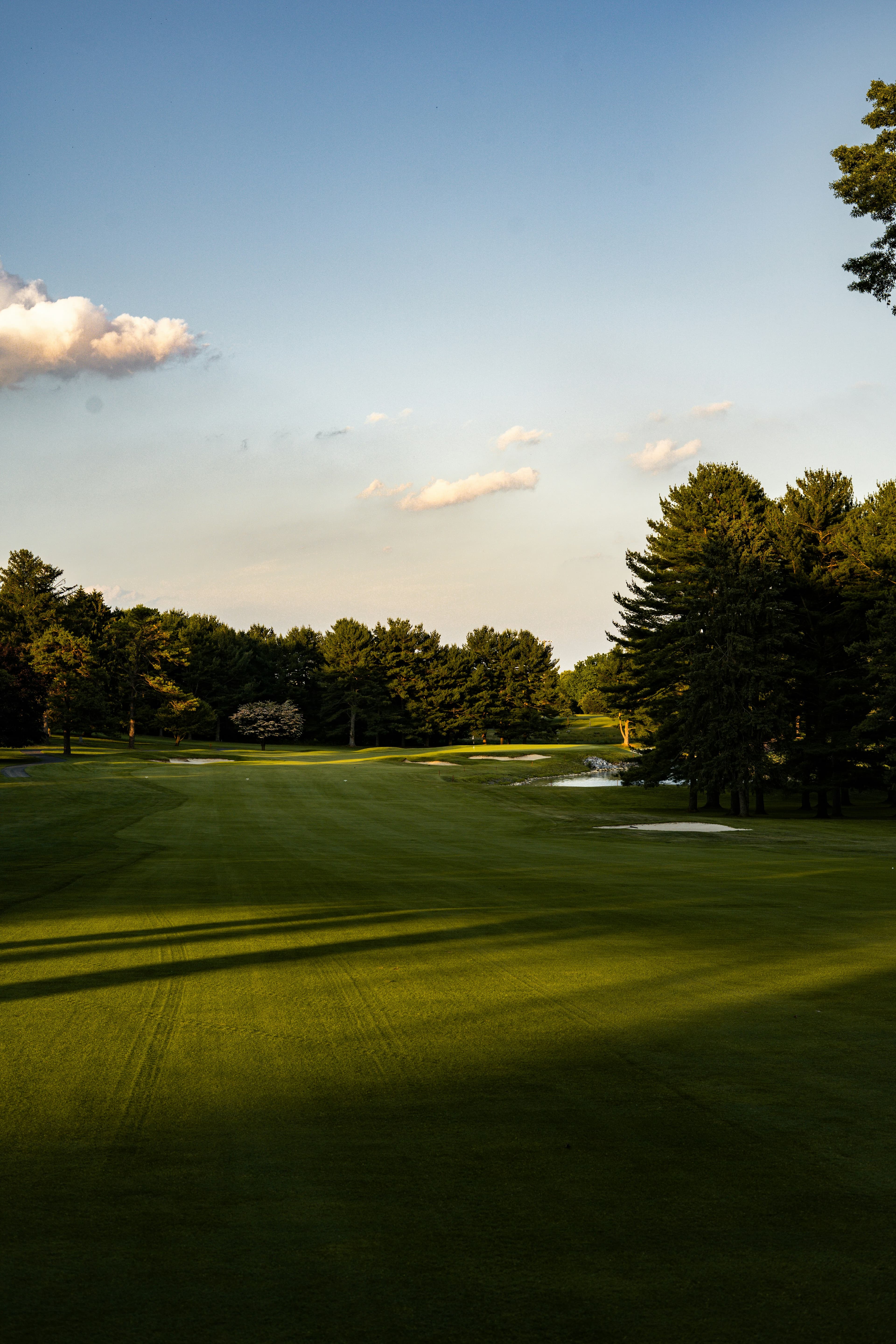 Golfer playing on a green course